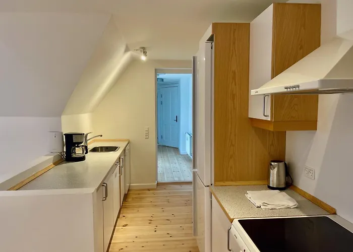 Large In Lovely Urban Area In Cph O Apartment
